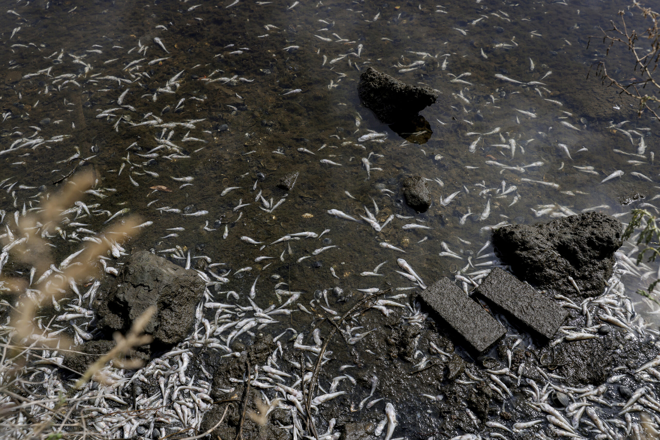 San Francisco forced to spend $14 billion to tackle potentially deadly human waste disaster