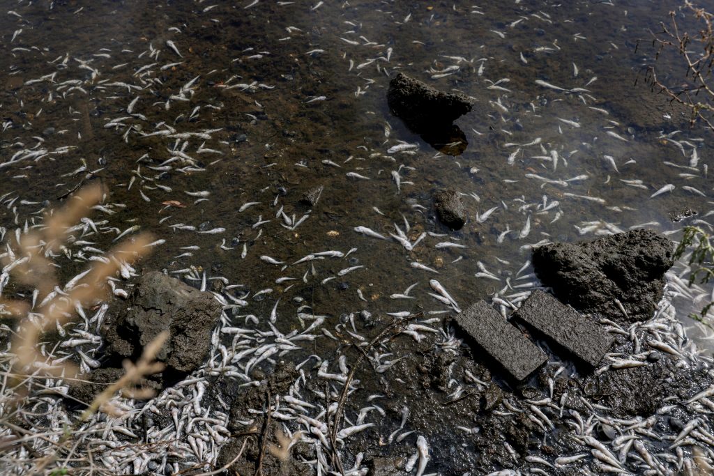 San Francisco forced to spend $14 billion to tackle potentially deadly human waste disaster