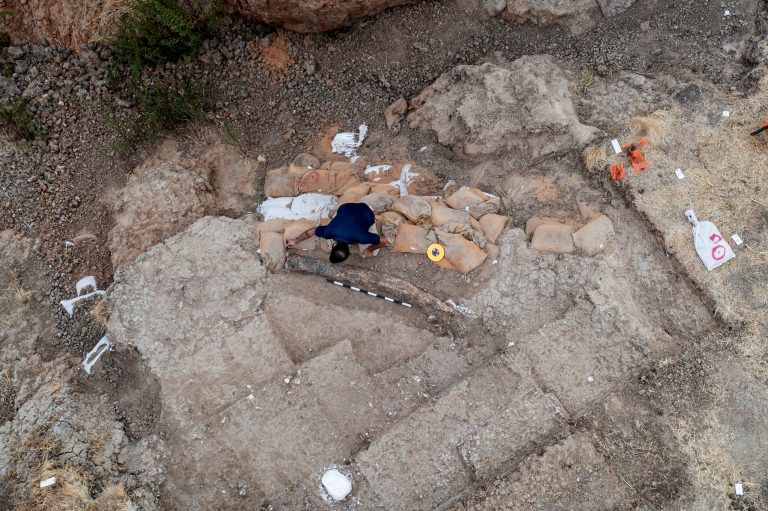 ‘World’s oldest meal’ discovered in ancient fossil