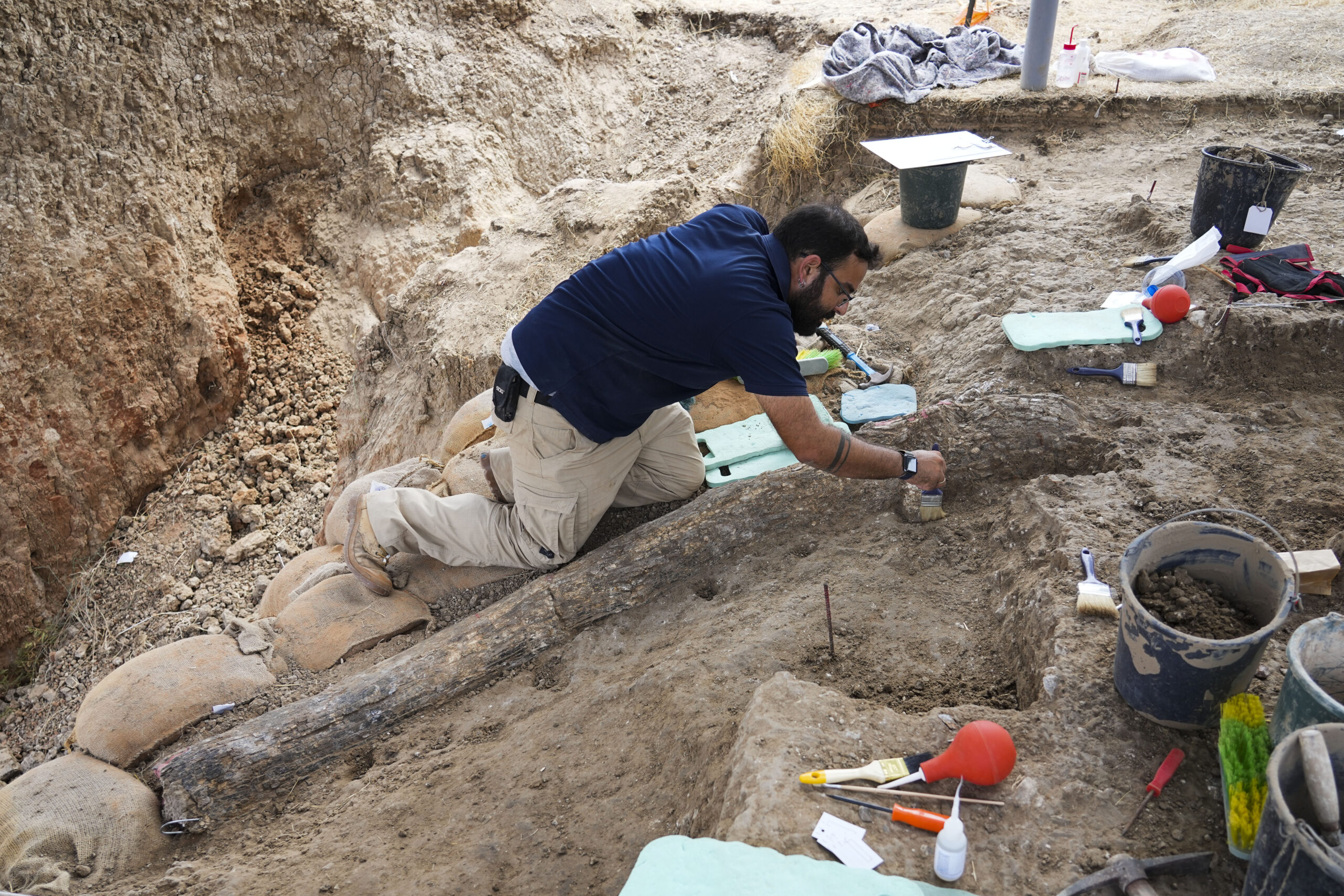 Prehistoric elephant tusk discovered in Israel