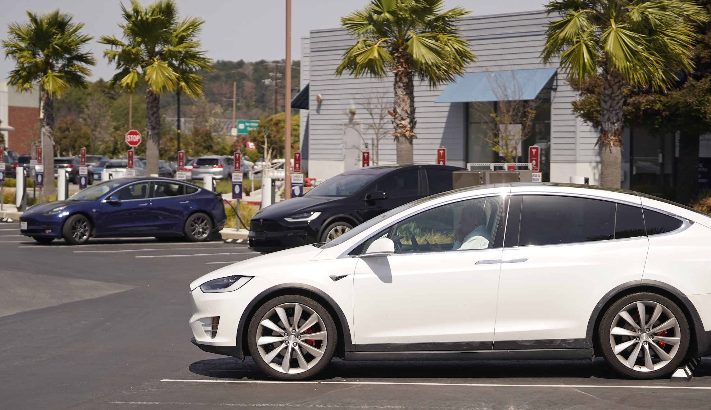Tesla chips will be smarter than human brain by 2033, study says