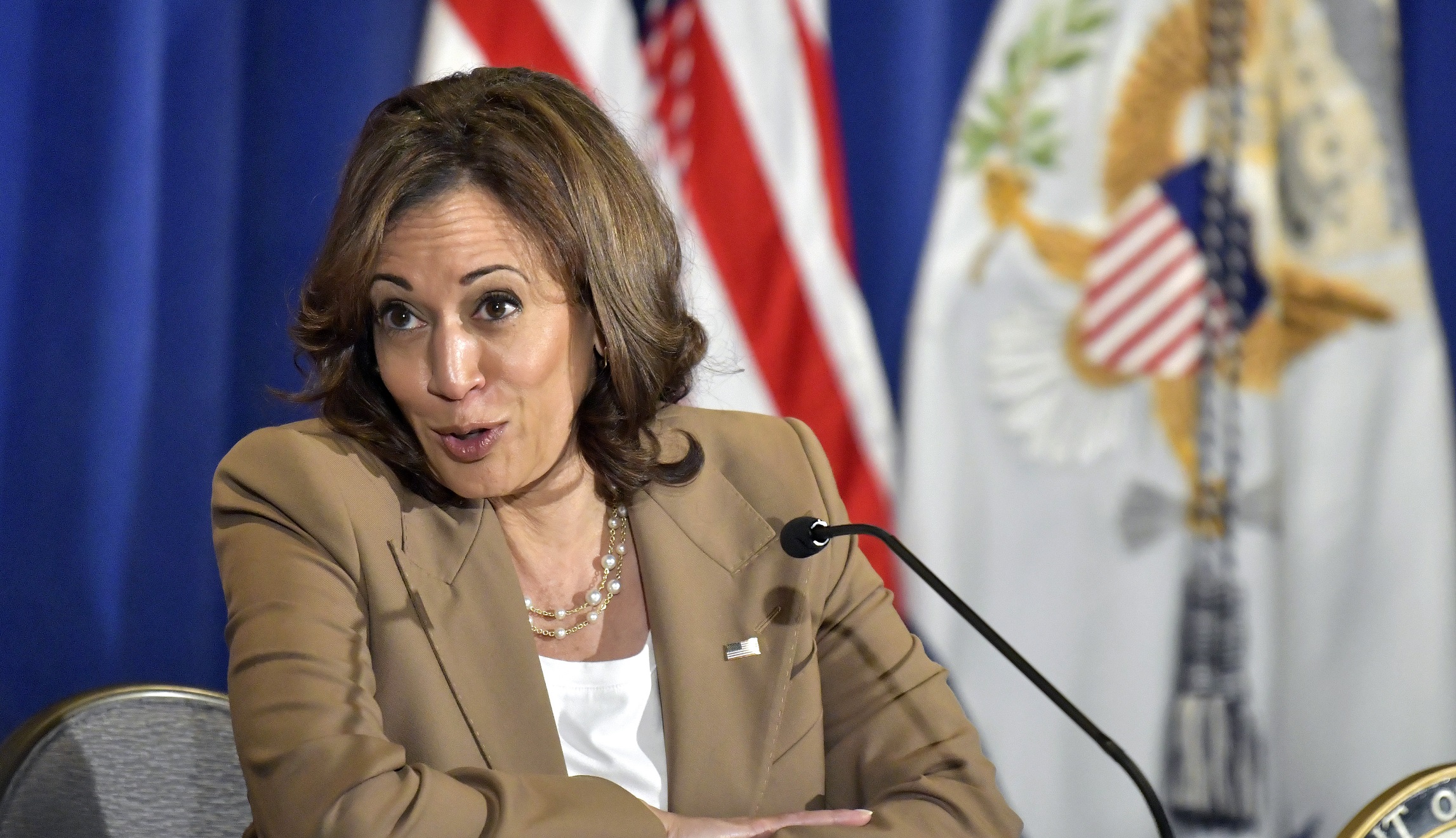 When Kamala Harris sees ‘extremists,’ she’s actually gazing at a mirror