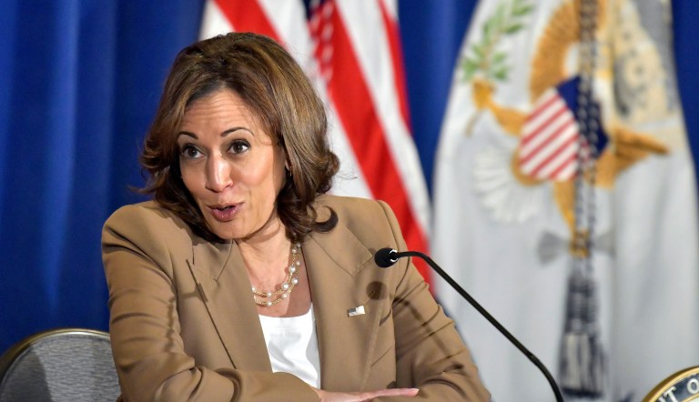 When Kamala Harris sees ‘extremists,’ she’s actually gazing at a mirror