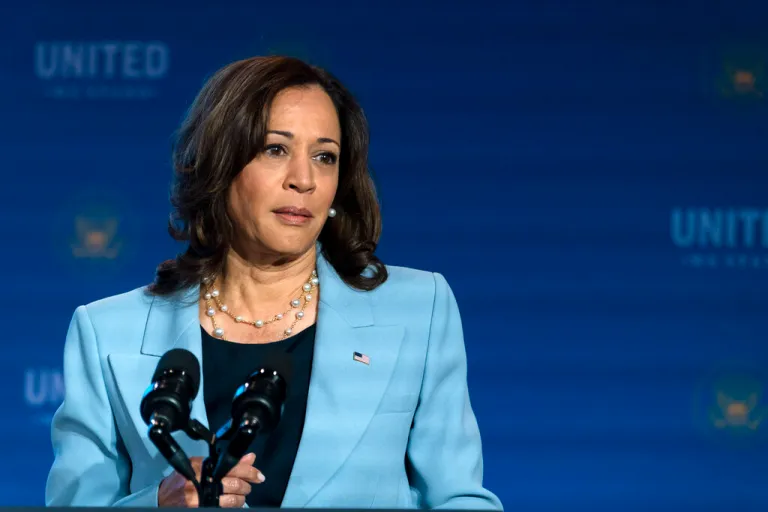 Harris picks up abortion mantle on campaign trail after bristling at role: Report