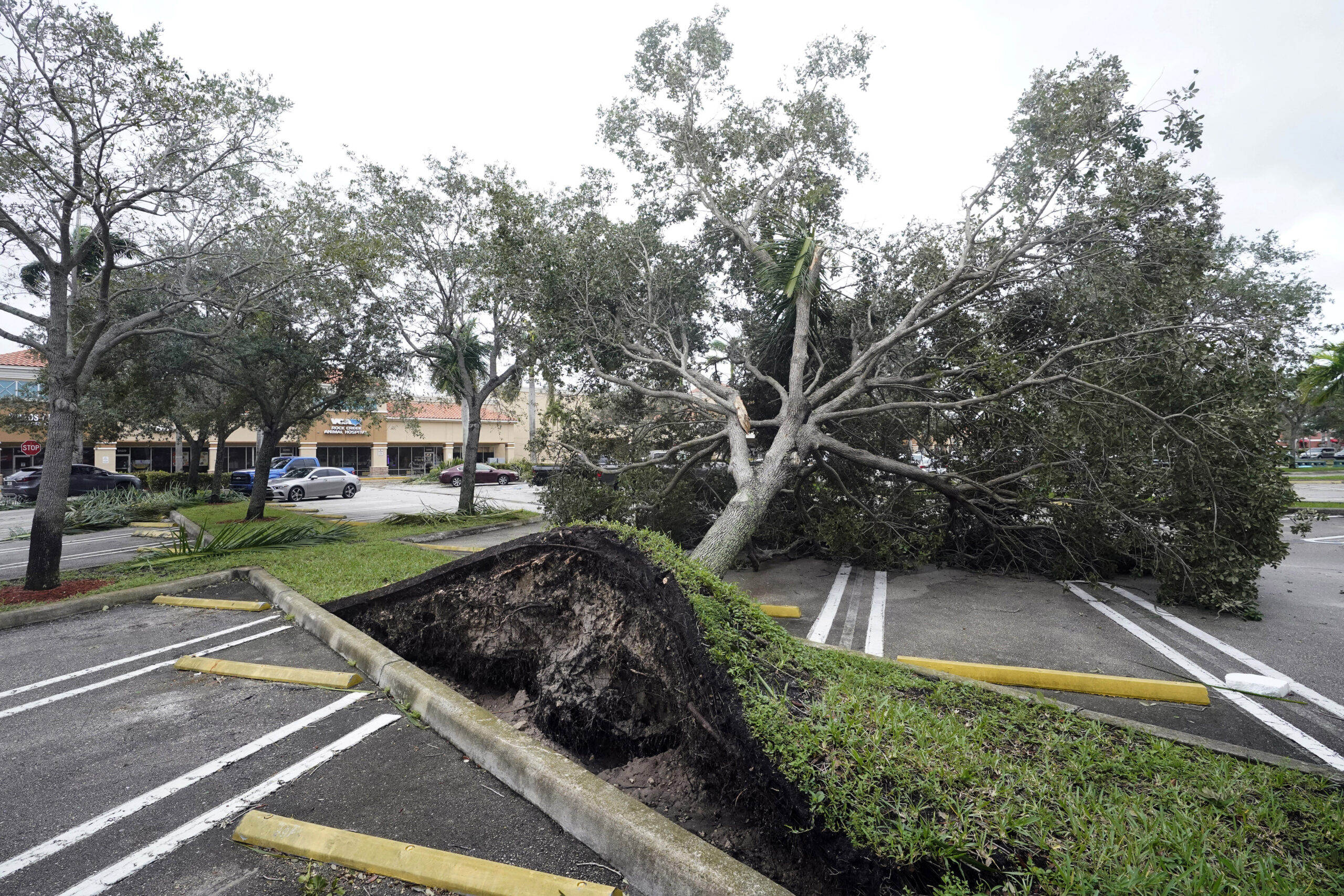 Hurricane Ian: Monster storm makes landfall as Category 4 storm with winds near 150 mph
