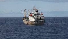 Treat China’s fishing flotillas for the pirates they are