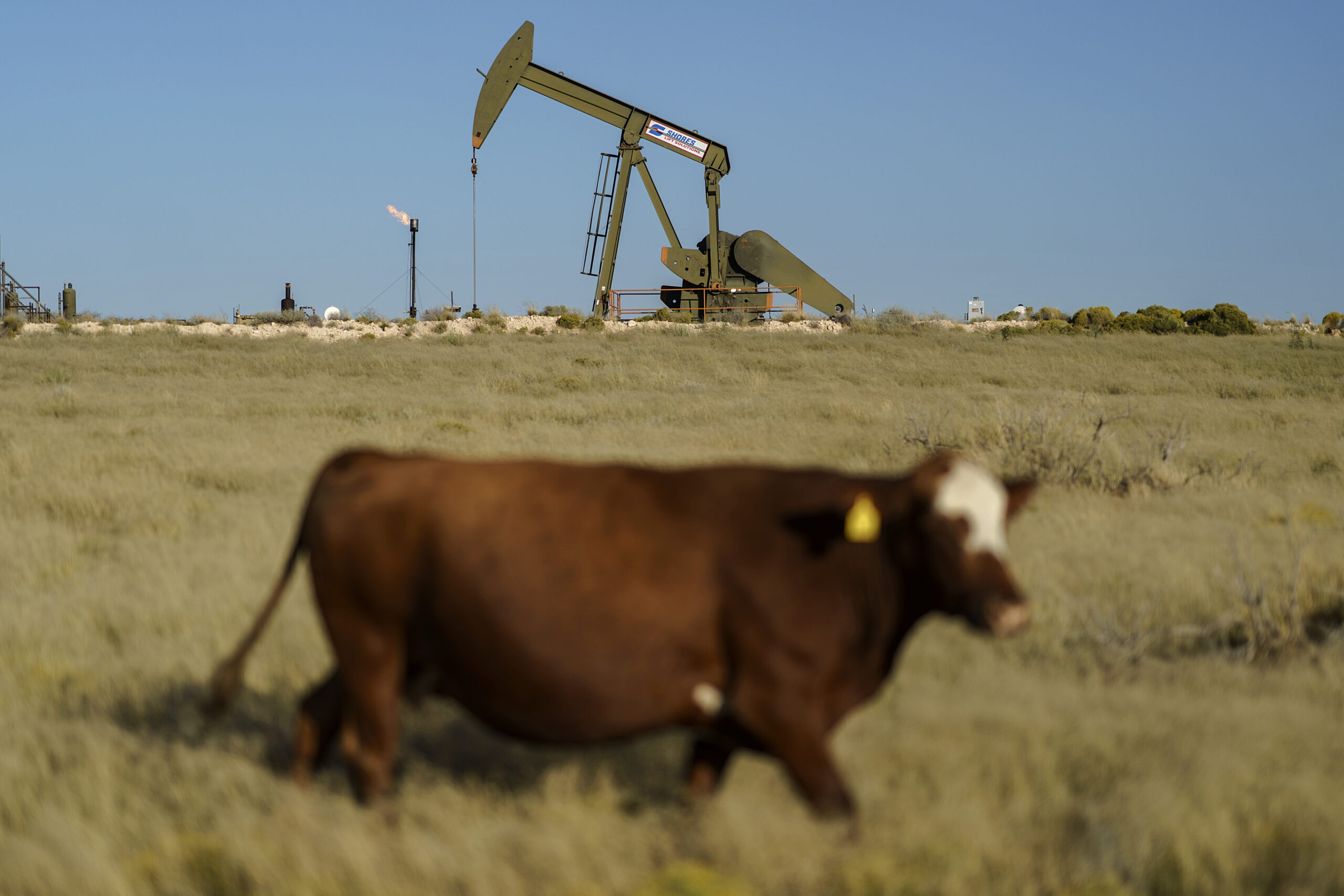 Interior holds first onshore oil and gas lease sale since last summer