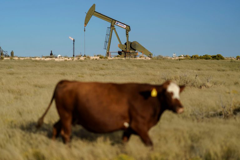 Interior holds first onshore oil and gas lease sale since last summer