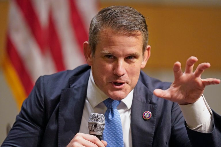 Kinzinger dunks on DeSantis’s ‘short-lived’ midterm victory