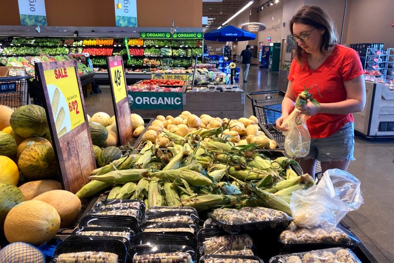 Food stamps: All Florida SNAP recipients will have July payment within one day