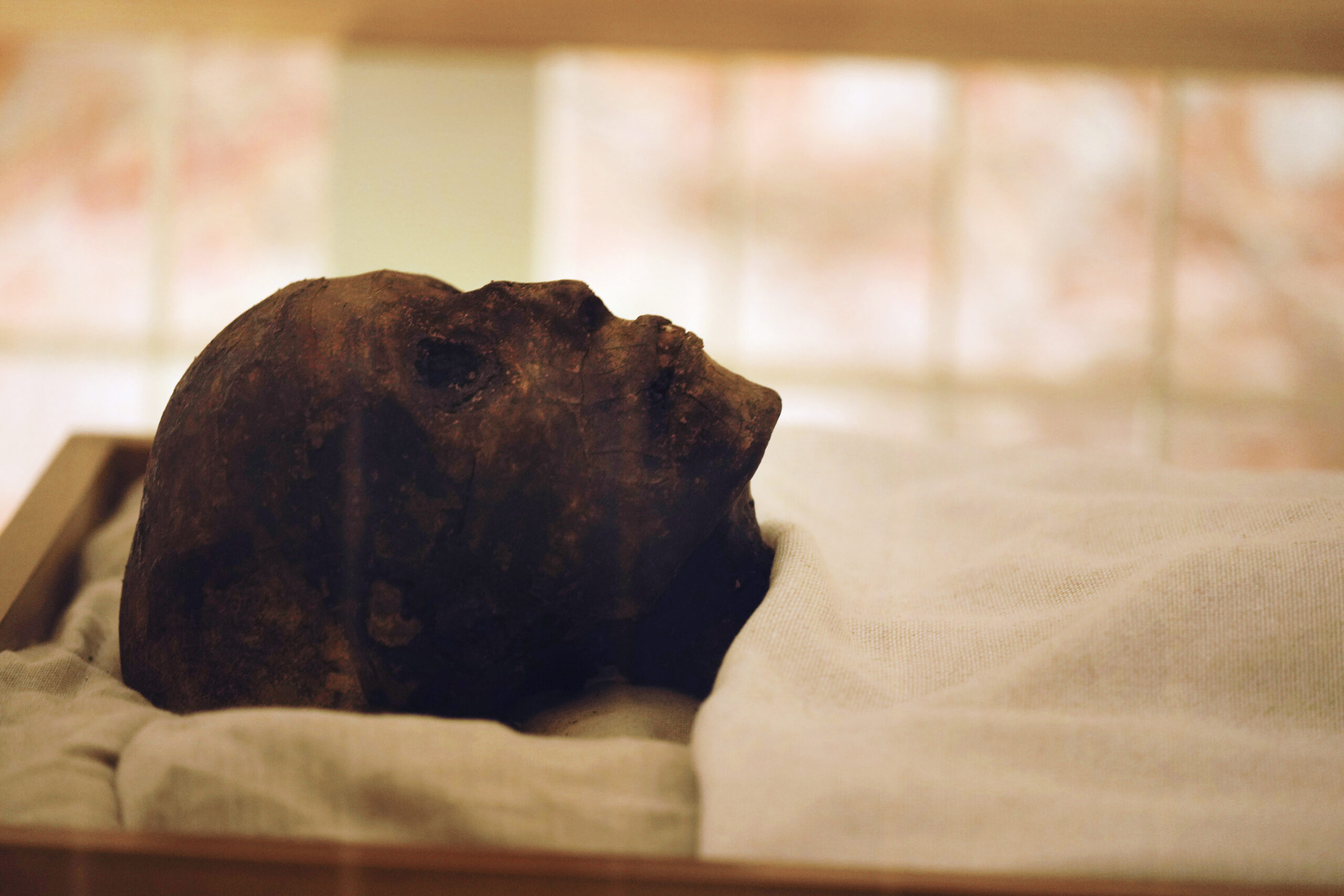 British museums shift ‘mummy’ language to ‘mummified persons’ to honor dead