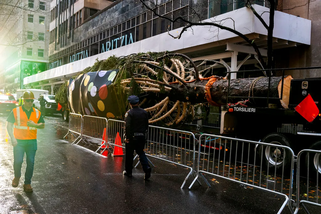 Holiday arrival: Rockefeller tree ushers in Christmas season