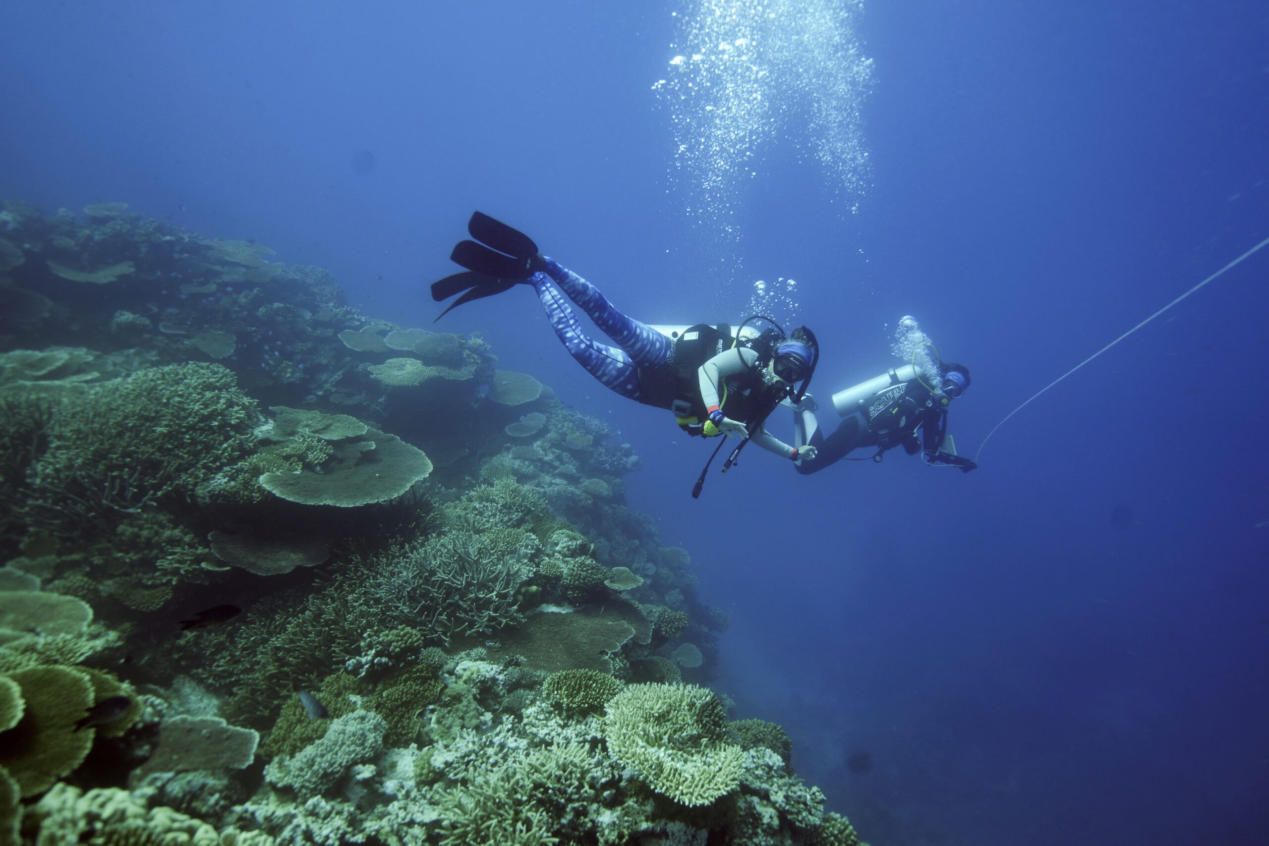 Australia pushes back against UN’s move to list Great Barrier Reef as ‘endangered’
