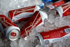 World Cup 2022: Qatar bans all sales of beer at stadiums in shock reversal