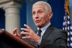 ‘Don’t have a clue’: Fauci voices bewilderment over DeSantis vaccine crusade