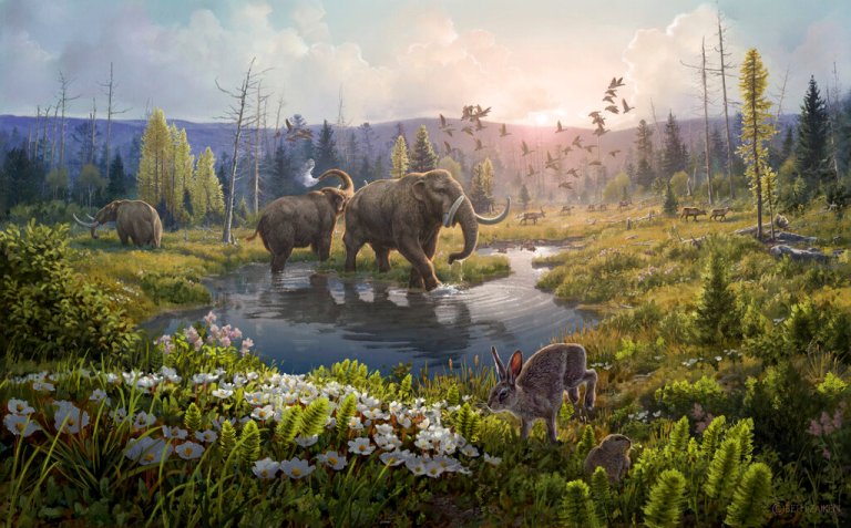 Scientific discovery of old DNA reveals lush life in Greenland 2 million years ago