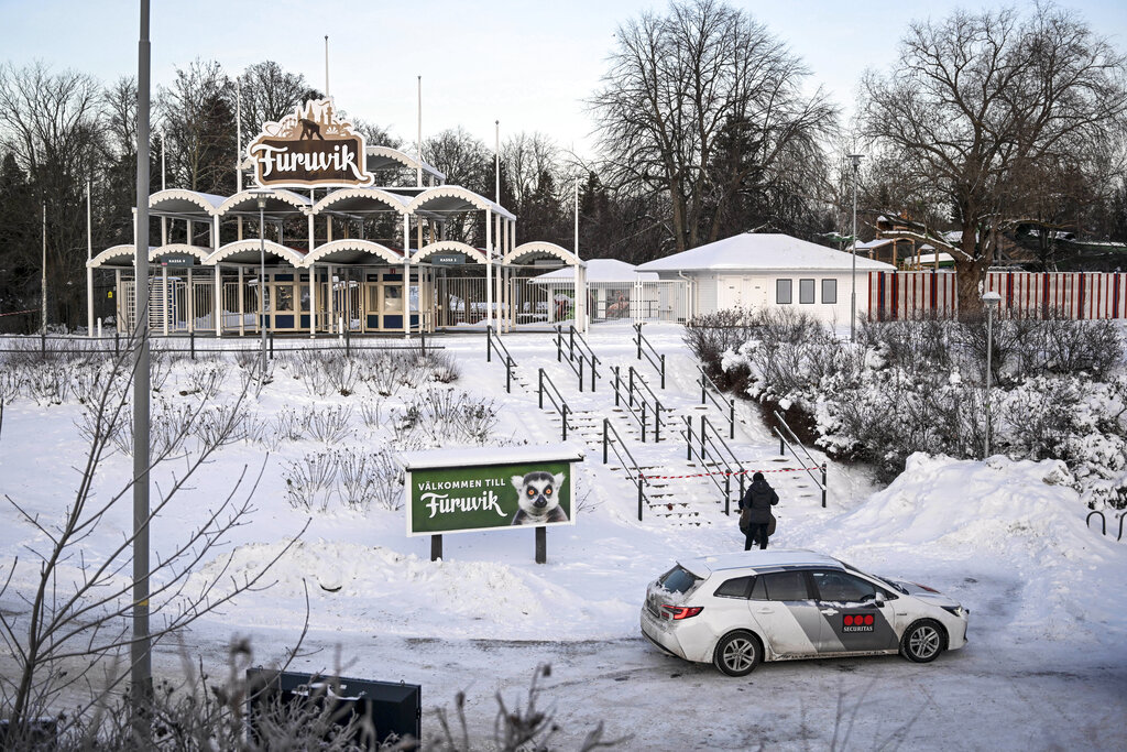 Four chimpanzees shot dead after Swedish zoo escape