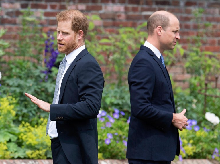 Brotherly shove: Prince Harry recounts brawl with brother Prince William