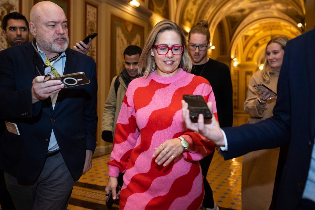 Sinema passed over for Appropriations after Democratic Party defection