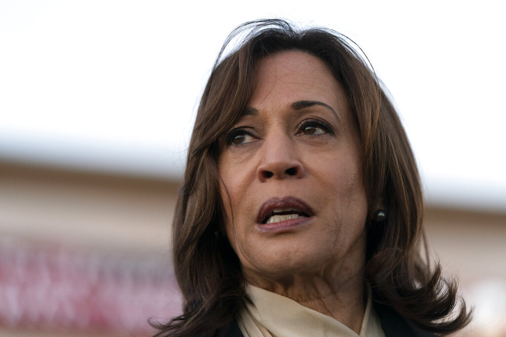 Harris rivals ‘under significant pressure’ to run in 2024 if Biden doesn’t