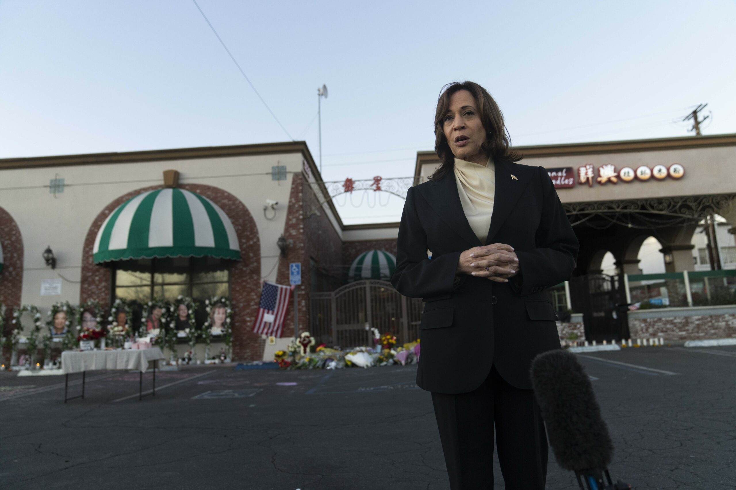 Kamala Harris keeps demanding gun control, without offering actual solutions