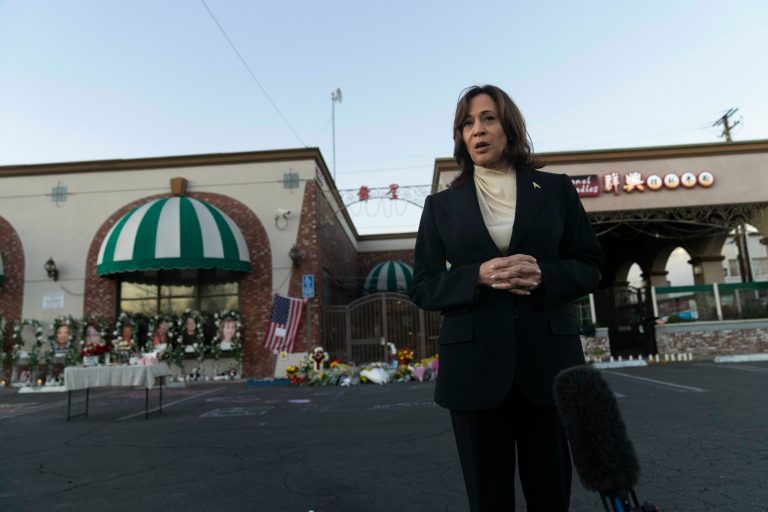 Kamala Harris keeps demanding gun control, without offering actual solutions