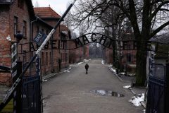 WWE issues apology after using Auschwitz death camp footage in promo