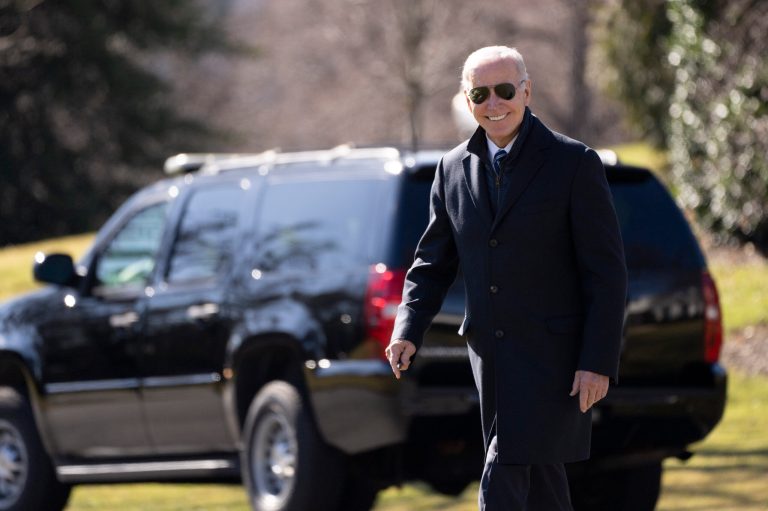 Biden allies chart out campaign plans as president stalls 2024 announcement