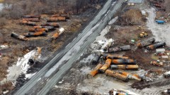 Fish, chickens, and foxes: Ohioans say animals getting sick after train crash