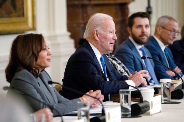 Democrats rally behind Biden to block Harris nomination, fearing Trump election