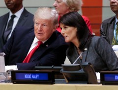 Nikki Haley has ‘huge impact’ on DeSantis and 2024 betting