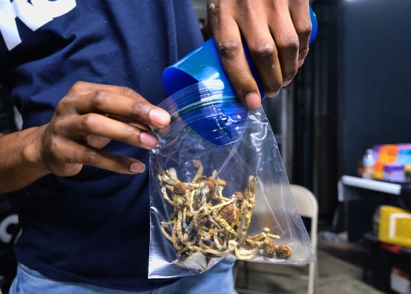 Psychedelic mushroom use spikes in young adults