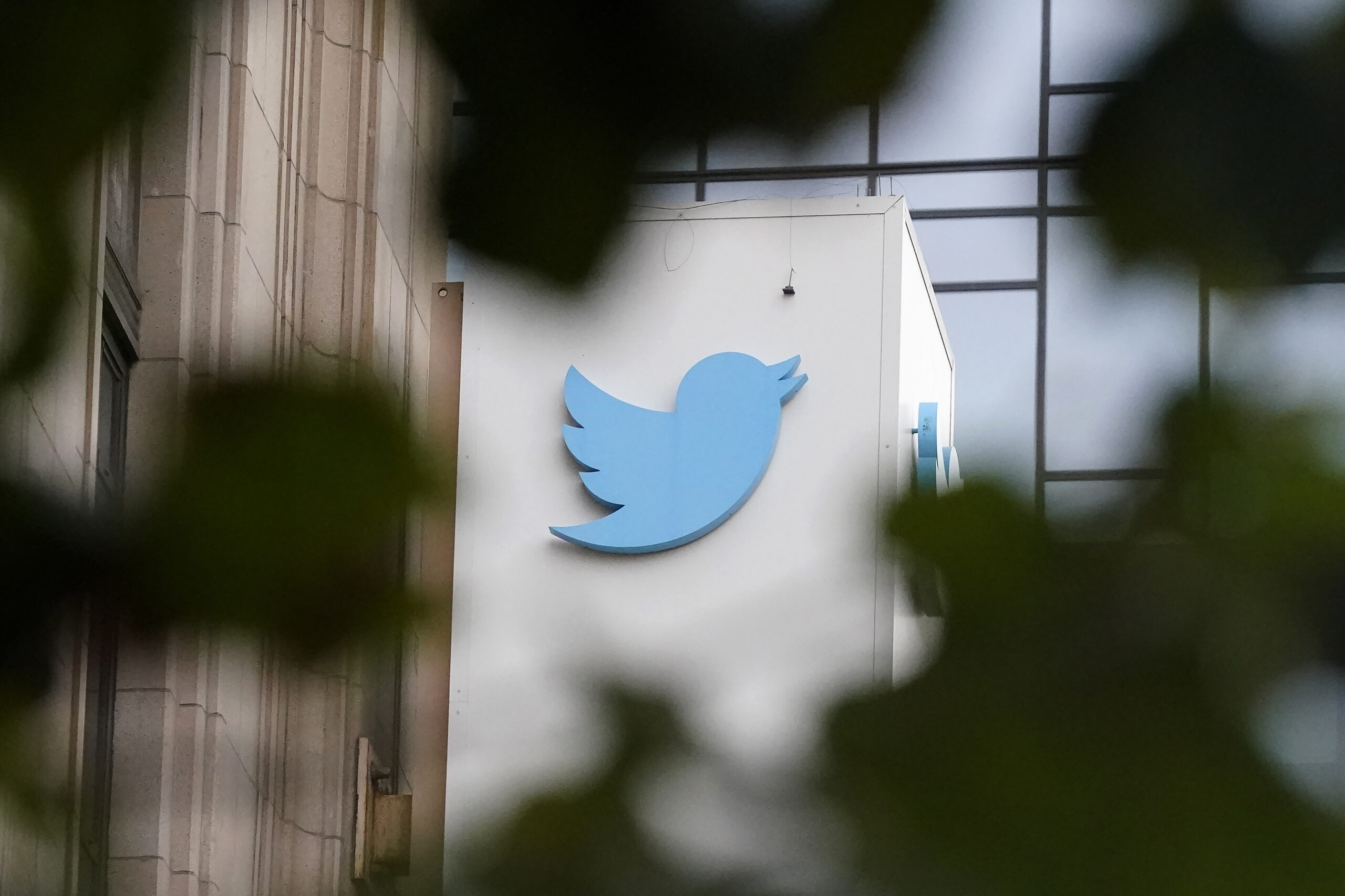 Twitter employees sue company for refusing to pay bonuses