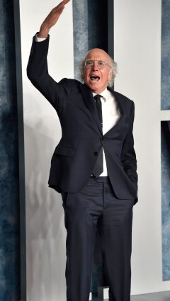 Larry David to finish Curb Your Enthusiasm at 12th season