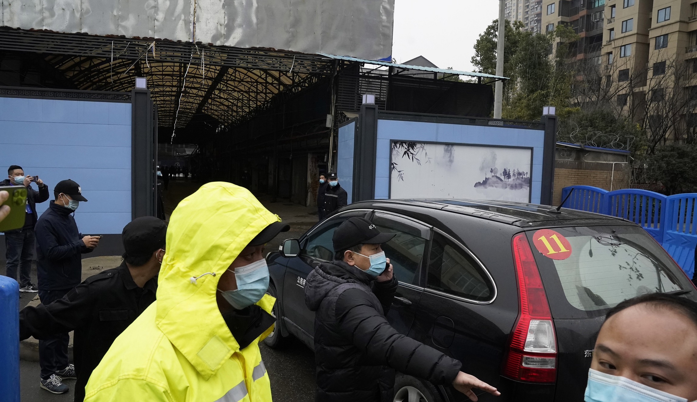 The proximal origin of a scientific fraud