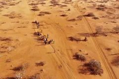 World likely to surpass critical warming threshold by 2030, new UN report warns