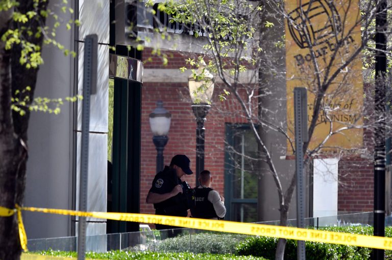Most still blame the brain, not the gun, for shootings