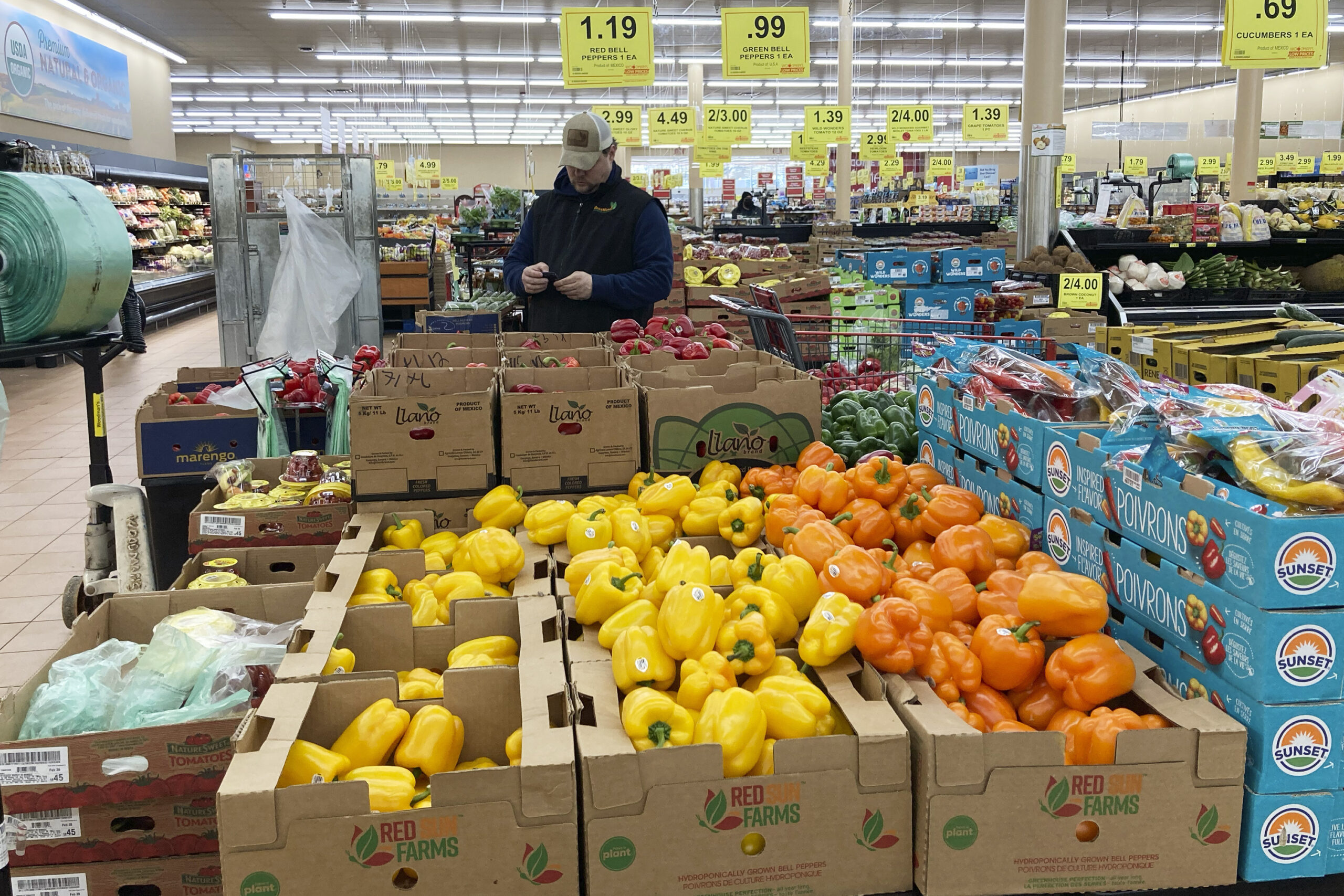 Food stamps: Payment dates for SNAP benefits in November 2023