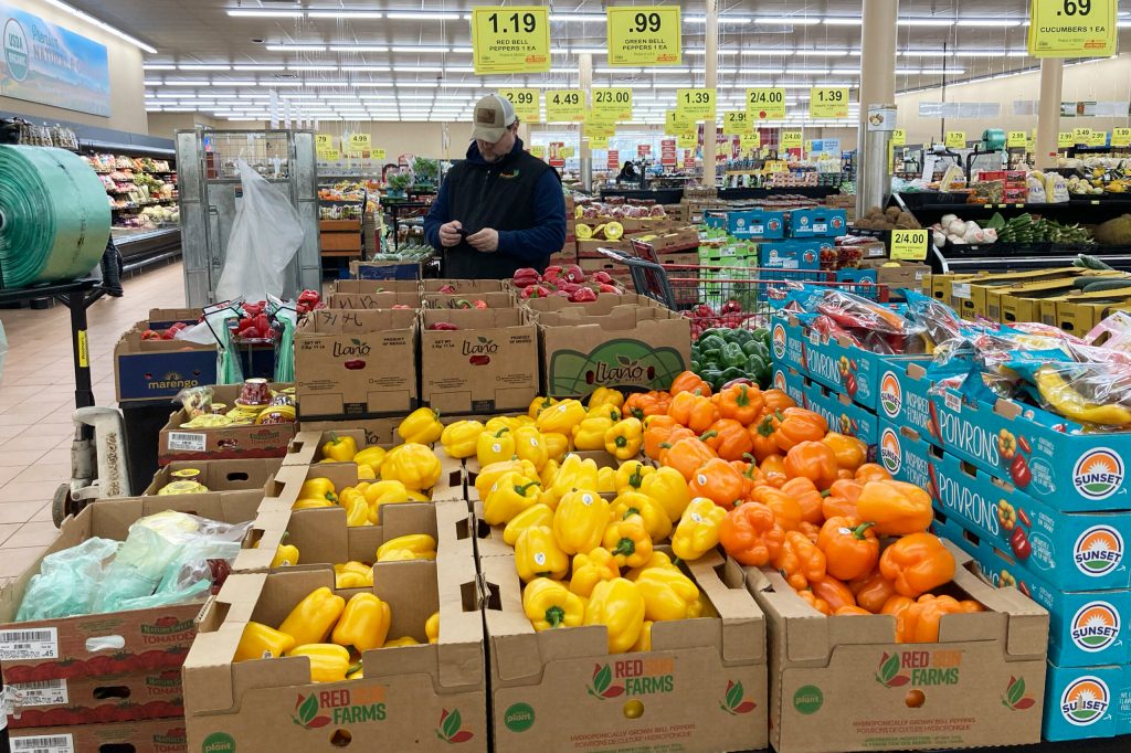 Food stamps: Payment dates for SNAP benefits in November 2023