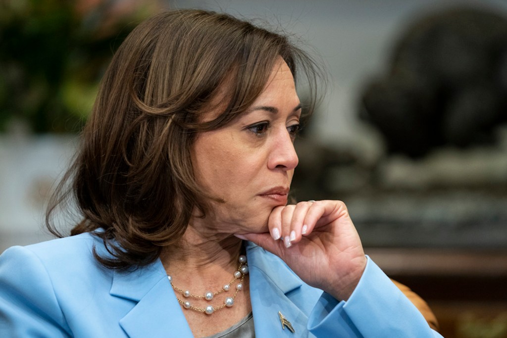 WATCH: Harris mistakenly credits nonexistent agency with approving mifepristone