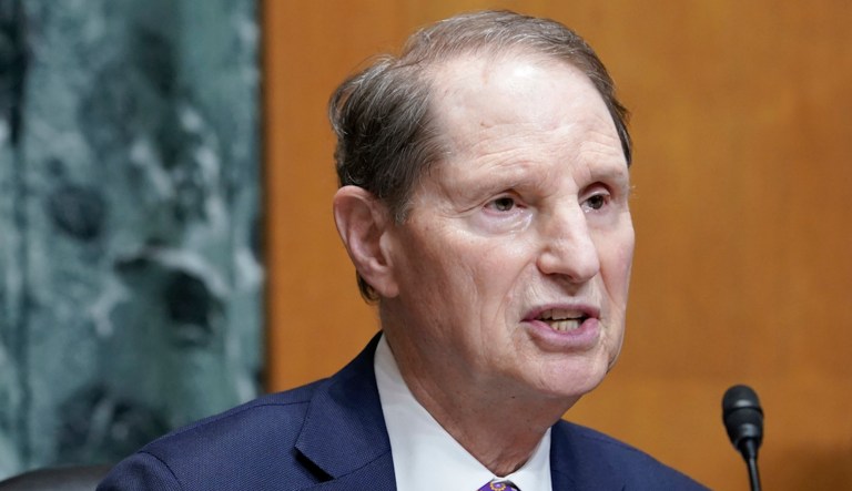 Sen. Ron Wyden, D-Ore., asks a question during the Senate Finance Committee hearing on President Joe Biden's budget request for the fiscal year 2024 for the IRS, Wednesday, April 19, 2023, on Capitol Hill in Washington.