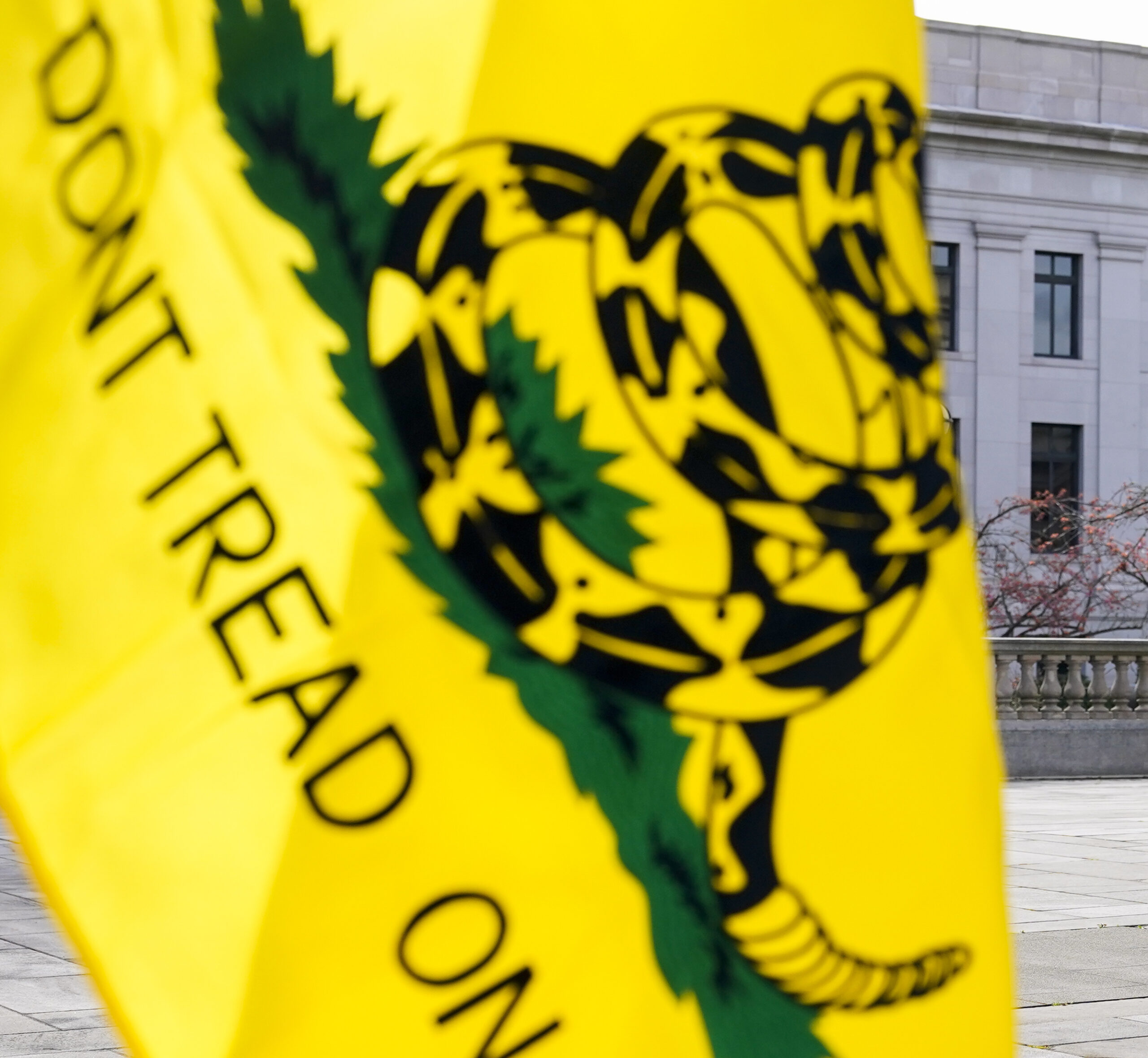 12-year-old kicked out of class for ‘Don’t Tread On Me’ patch defeats school