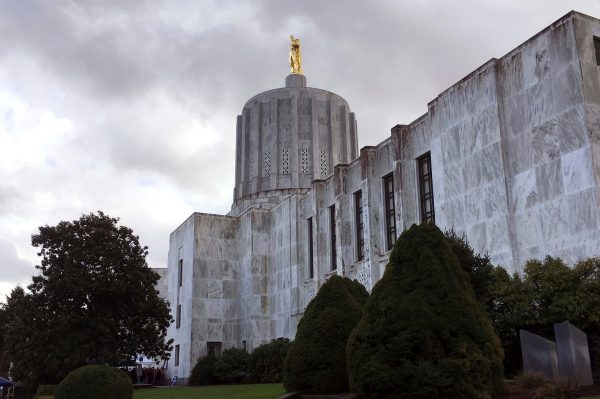 Oregon House passes wide-ranging gun control bill