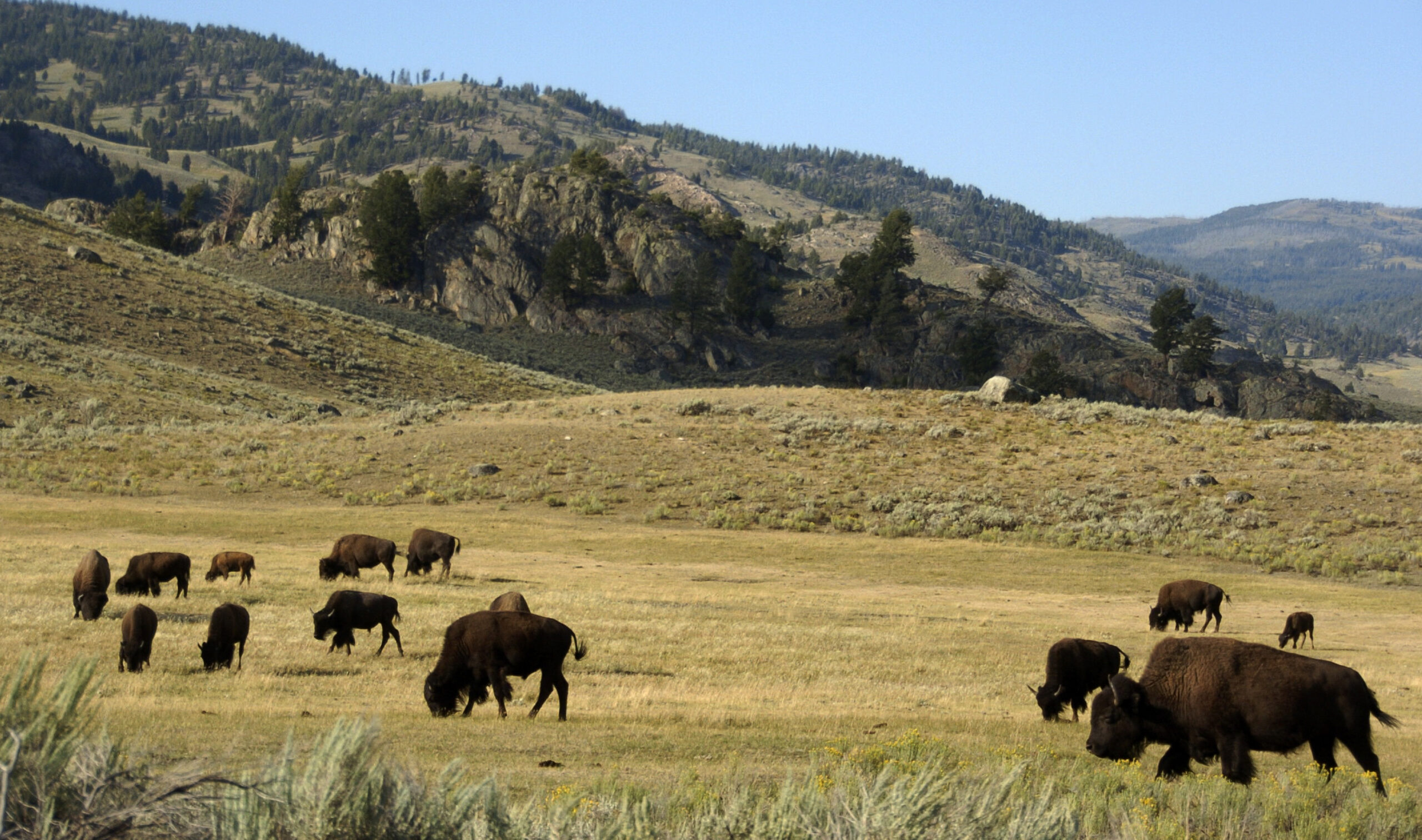 Republican-led national parks spending cuts advance in House