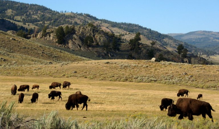 Republican-led national parks spending cuts advance in House