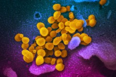 House pandemic panel subpoenas author of COVID-19 origins paper ‘prompted by’ Fauci