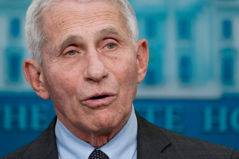 FILE - Dr. Anthony Fauci, then-director of the National Institute of Allergy and Infectious Diseases, speaks during a press briefing at the White House, Nov. 22, 2022, in Washington. (AP Photo/Patrick Semansky, File)