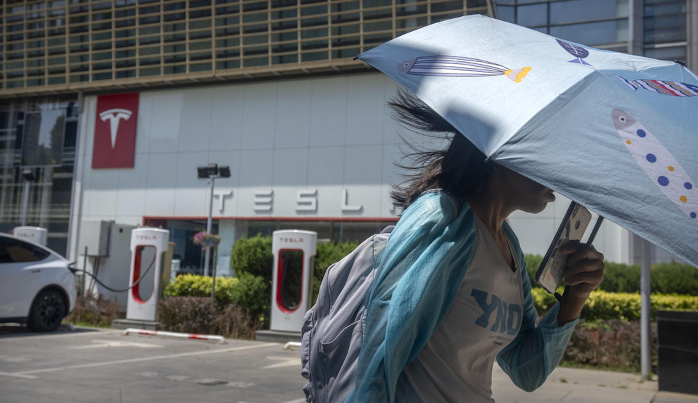 The members of Congress who have made the switch to electric vehicles
