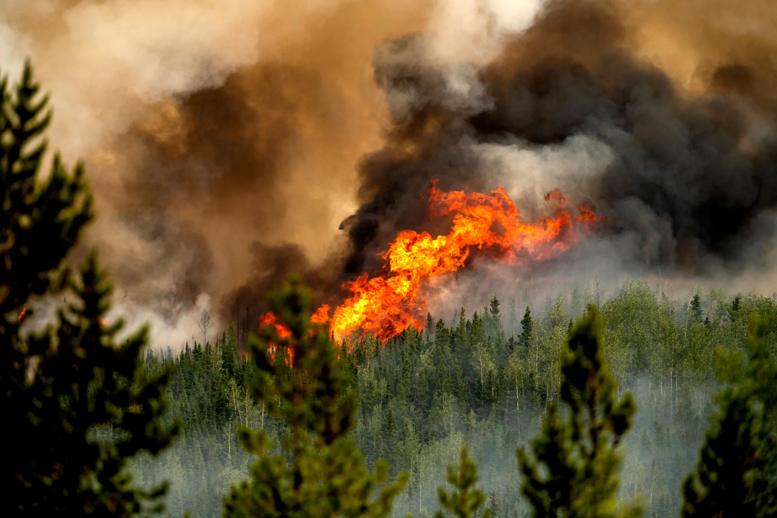 Canadian wildfires: What Canada is doing about the various infernos