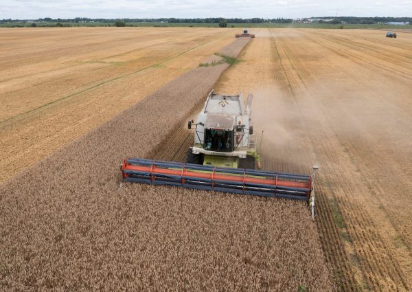 White House pressures Russia to resume Black Sea grain deal amid rising global food prices